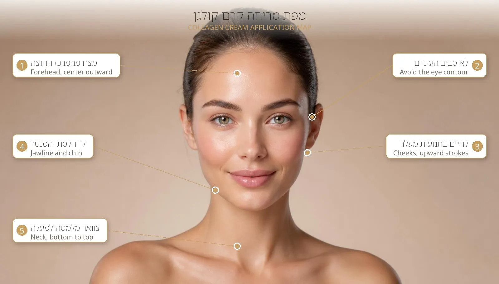 How to Apply Collagen Cream — A Complete Face-Zone Guide