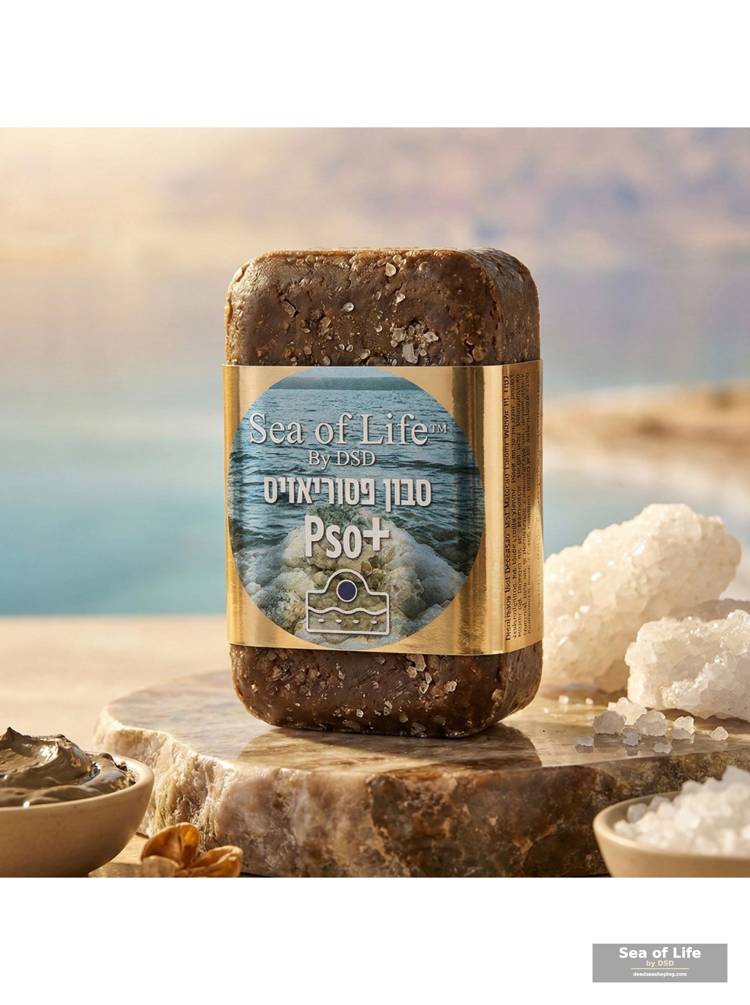 PSO Plus Soap